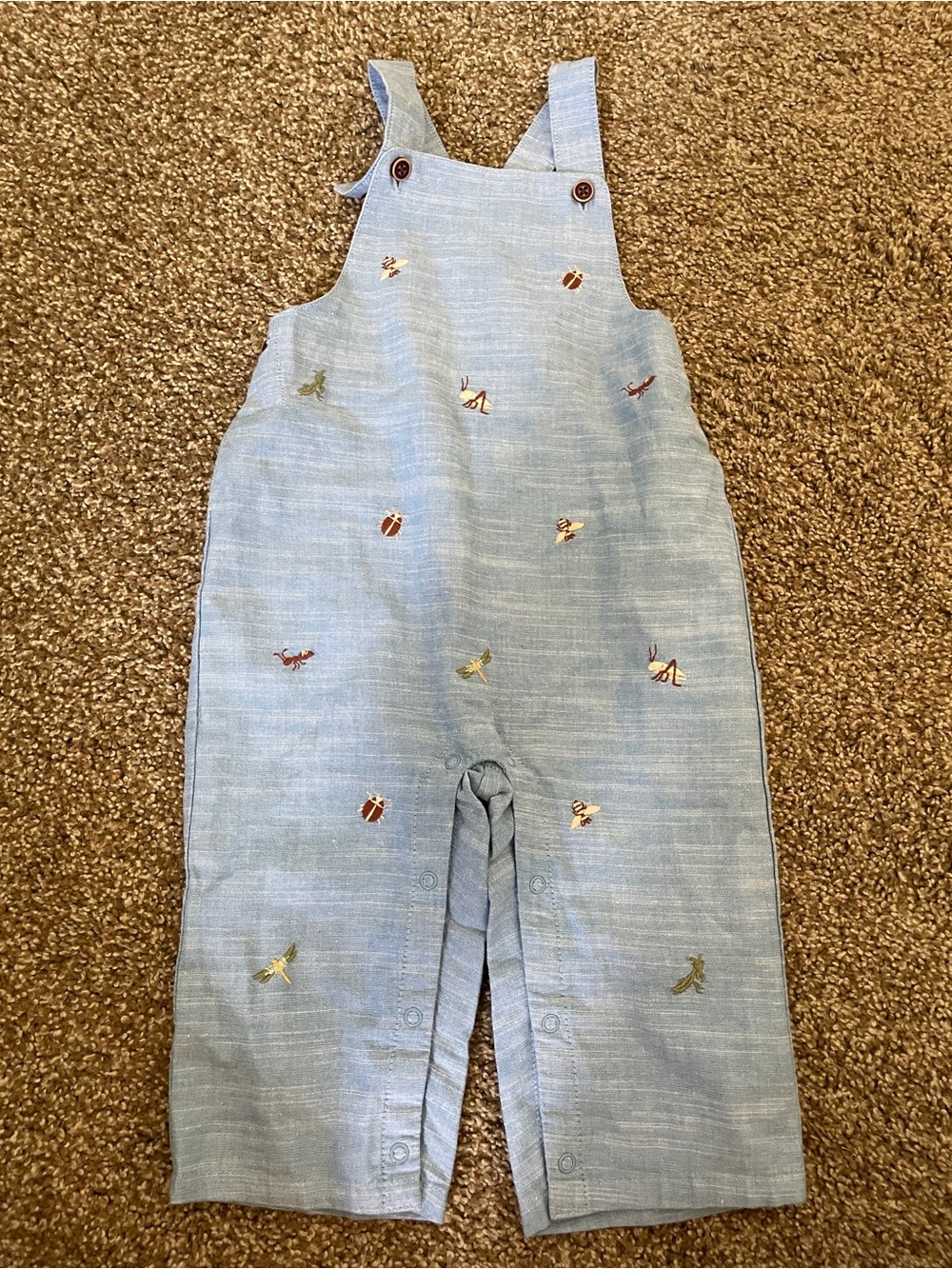 Janie and Jack Light Blue Embroidered bugs Overalls